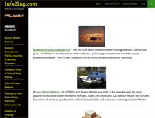 Tablet Screenshot of infozing.com